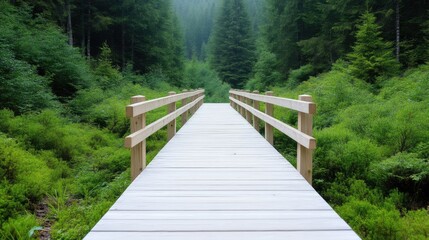 A wooden bridge stretches through lush green vegetation towards a dense forest under a misty sky.