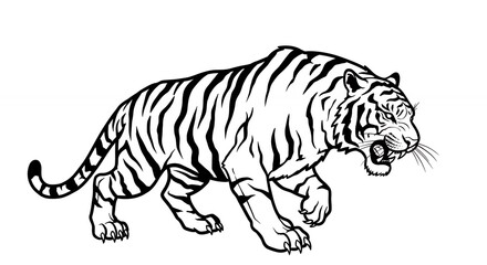 Fototapeta premium Roaring Tiger Stalking in Black and White Illustration