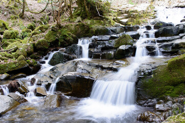 兵庫県宍粟市・石 (いし) 段瀑の渓流滝