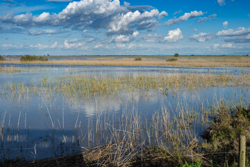 Floodwaters surge through Brazo de la Torre in Doñana, Andalusia