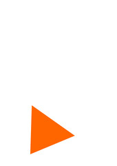 a orange triangle shape