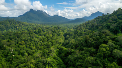 Obraz premium Eco-Immersive Climate Hope Pristine Tropical Rainforest Panorama Revealing Biodiversity Resilience and Regenerative Landscape Potential for Global Environmental Narratives
