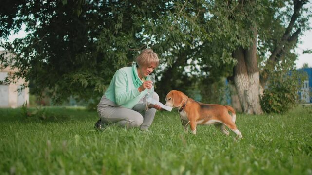 Woman bending to feed pet dog in lush green garden under afternoon sun warm light happy outdoor moment showing care love bond between human and animal peaceful scene
