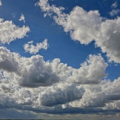 Obraz premium Fluffy white clouds drift lazily across a brilliant blue sky during a peaceful afternoon in late summer, creating a serene backdrop for daydreams and relaxation Generative AI