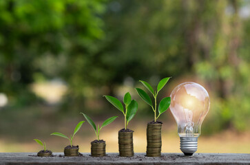 A visual representation of growth, combining coins and plant sprouts, symbolizes financial investment and sustainability with a glowing light bulb.