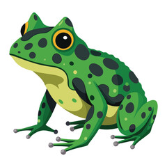 A textured, moss-like frog with dark blotches and suction-cup toes is isolated against a stark white background.