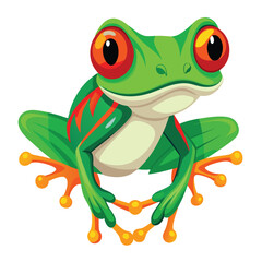 A vibrant green tree frog with striking red eyes and bright orange feet clings to an unseen surface  white background.