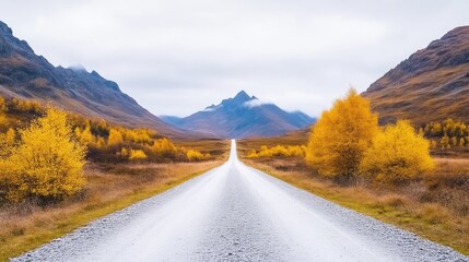 Scenic Autumn Road Through Mountain Valley