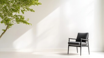 Minimalist, Modern Room with Plant and Chair