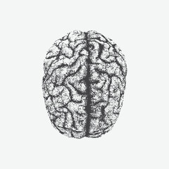 Halftone stipple effect on the brain for grunge punk Y2K collage design