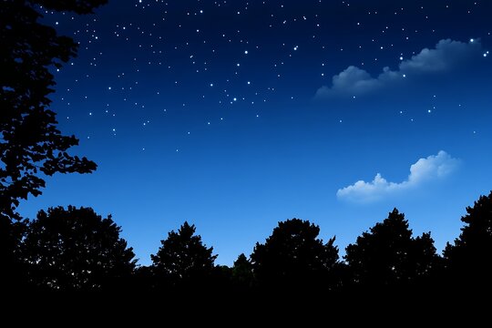 Starry night sky over a dark forest.