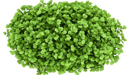 Lush Green Leafy Background with Vibrant Fresh Plant Texture