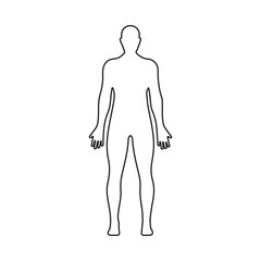 male human body line icon