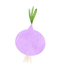 onion isolated on white