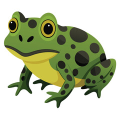 A textured, moss-like frog with dark blotches and suction-cup toes is isolated on White background