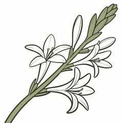Flower vector illustration