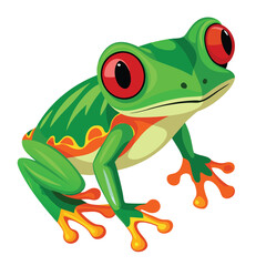 A vibrant green tree frog with striking red eyes and bright orange feet clings to an unseen on White background