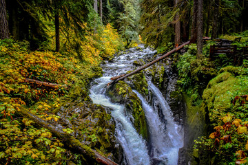 Sol Duc Falls in autumn, Olympic National Park, Washington