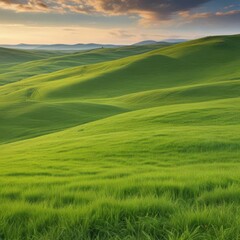 Obraz premium green field and blue sky, green field and sky, landscape with green grass and blue sky
