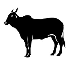 silhuotte of cow on white background
