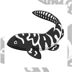 Cartoon zebra shark on white background