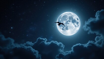 Obraz premium Majestic moonlit night sky with a bird in flight