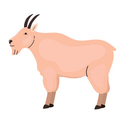 Mountain goat icon clipart avatar logotype isolated illustration