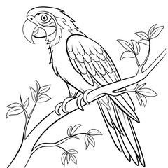 Line art illustration of a parrot on a tree branch. Suitable for coloring pages, educational materials, or nature-themed designs.
