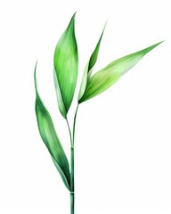 Obraz premium Vibrant watercolor depiction of bamboo leaves.