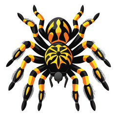 A striking tarantula with intricate black, white, and yellow markings on its legs and body is isolated against a clean white background.