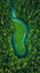 Fototapeta premium Aerial view: lush green forest, curving river, island.