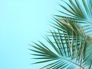 Palm tree leaves isolated on blue background with copy space for text. Tropical theme concept.