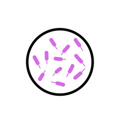 microorganisms under a microscope