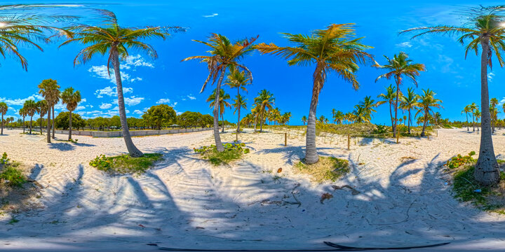 Tropical palms Crandon Park Miami Beach. 360 VR equirectangular photo
