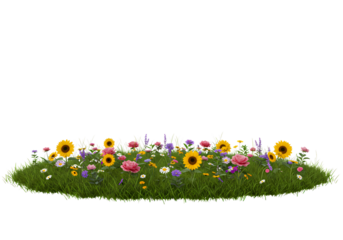 Colorful Wildflowers in Grass on Transparent Background