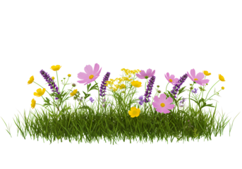 Colorful Wildflowers in Grass on Transparent Background