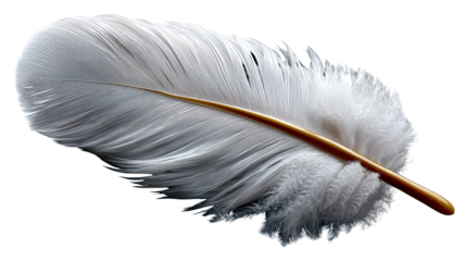 A simple and clear sentence for naming the image could be:
Single feather isolated on a white background representing nature and writing