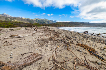 Beautiful beach in Andrew Molera State Park, California, featuring golden sands, rugged cliffs, and...