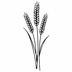 Wheat Crop Vector Design