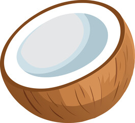 vector illustration of a coconut