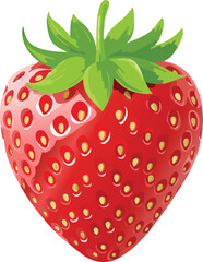 vector illustration of a strawberry