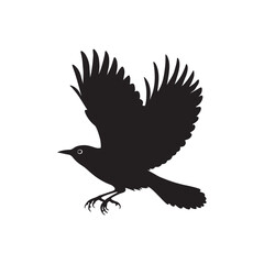 Silhouette of a Flying Bird with Spread Wings