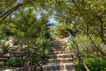 a cobblestone staircase with lush green palm trees and plants and flowers at the Ventura Botanical Garden in Ventura California USA