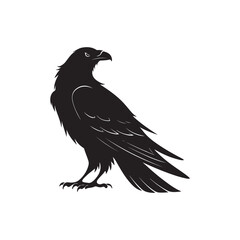 Silhouette of a Flying Bird with Spread Wings