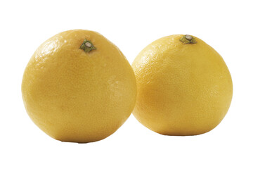 二つの太陽、静寂の中で見つめ合う