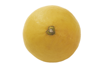 光の証明、自己の存在を語る肌