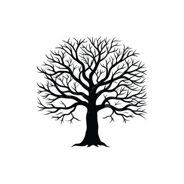 A leafless tree silhouette in detailed vector art, ideal for winter and dead tree design. This tree silhouette offer a unique and awesome visual