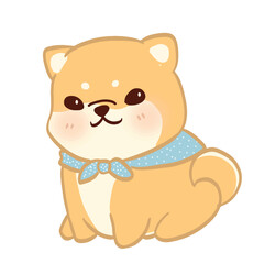 Chubby Shiba Inu with blue scarf sitting proudly, full of gentle charm.