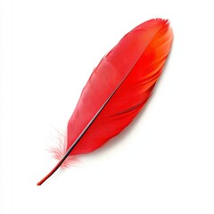 Vibrant Red Feather Isolated on White Background for Artistic Use