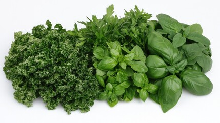 Fresh herbs arranged in a horizontal display.
